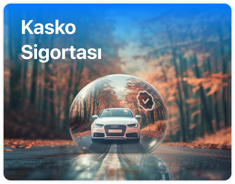 /features/kasko-web.png