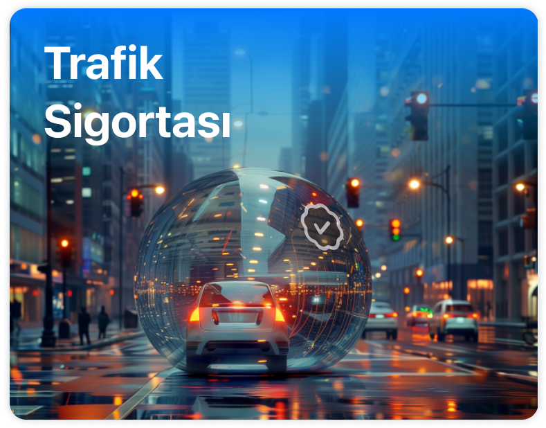 /features/trafik-web.png